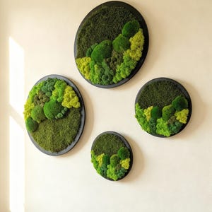 May include: Four circular wall art pieces with a natural moss design. The moss varies in shades of green, from deep forest to bright lime, set within black frames. The sizes of the pieces vary, creating a dynamic wall display.