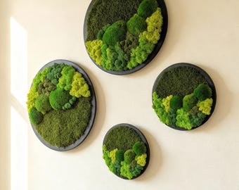 Round Moss Wall Art, Gradient Green Botanical Decor, MDF Frame