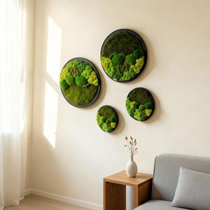 May include: Four circular wall art pieces with black frames, each filled with vibrant green moss. The moss varies in shades, creating a textured, natural look. The art is displayed on a cream-colored wall, adding a touch of nature to the interior decor.