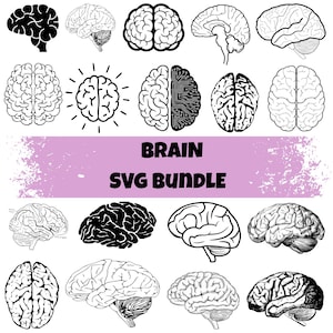 May include: A selection of black and white brain illustrations. The images show different perspectives of the brain, including side profiles, top views, and cross-sections. The text "BRAIN SVG BUNDLE" is displayed on a purple banner.