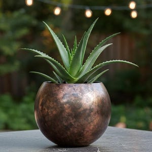 May include: A green aloe vera plant in a round, copper-coloured pot. The pot has a textured surface and sits on a dark grey table. The background is blurred, with green foliage and string lights.