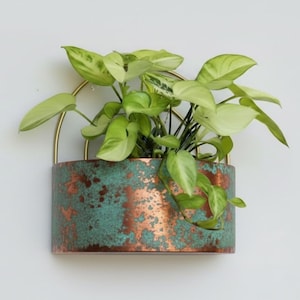 Handcrafted Copper Wall Planter - Verdigris Patina, Brass Frame