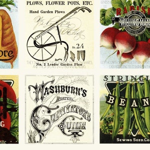 May include: Vintage seed packets featuring illustrations of carrots, radishes, tomatoes, beans, and cabbage plants. The packets include text such as "Seed Store", "Sewing Card Seed Co.", "Washburn's Cultivator's Guide", and "Frost Proof Cabbage Plants".