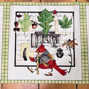 May include: A fabric panel featuring three distinct sections on a light green grid background. The left panel shows a large red ladybug with black spots and an insect order chart. The center panel depicts a red cardinal bird with leaves and forest imagery. The right panel displays three glass jars containing illustrated insects with the text BUGS and Entomology.