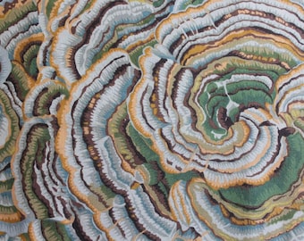 Retired TREE FUNGI Grey Gray Kaffe Fassett Cotton Quilting Fabric Green Gold Philip Jacobs Mushrooms Out of Print oop