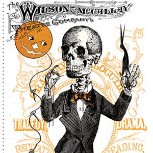 新品 SKELETON TAILOR メインパネル コスチュームメーカーズ Act II J. Wecker Frisch 23インチ W x 44インチ H ヴィンテージスタイル ハロウィン生地