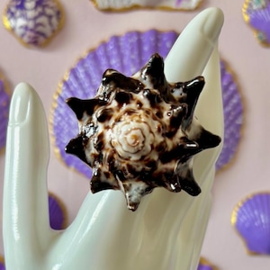 Puede incluir: Un anillo único con diseño de concha marina en tonos marrón y blanco, exhibido en un soporte blanco con forma de mano. El fondo presenta conchas marinas pintadas de morado y blanco, creando un tema costero.