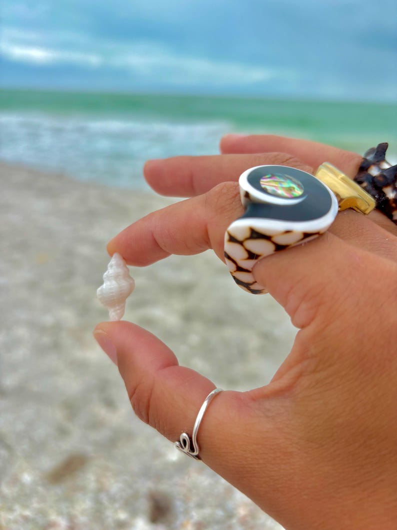 May include: A hand adorned with rings, including a large black and white ring with an iridescent centre, a gold ring, and a silver ring. The hand holds a small, white seashell against a beach and ocean backdrop.