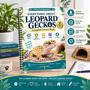 Könnte beinhalten: Ein spiralgebundener Ratgeber mit dem Titel Everything About Leopard Geckos: A Complete Owner's Guide. Das Cover zeigt einen gelb-schwarz gefleckten Leopardgecko auf einem Stein sowie Symbole für Lebensraum, Ernährung und Gesundheit.