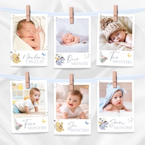 May include: Six baby milestone photo prints are suspended from a light blue ribbon with wooden pegs. Each print displays a baby photo and text indicating the baby's age in months, with Winnie the Pooh illustrations.