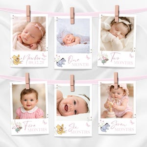 Girl Winnie First Birthday Photo Banner, Classic Winnie Decor, Monthly Milestone Card, Editable WP03