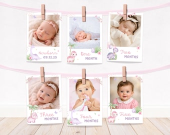 Könnte beinhalten: Eine Sammlung von sechs Baby-Meilenstein-Fotokarten, die jeweils ein Babyfoto und Text mit dem Alter in Monaten zeigen. Die Karten sind mit Blumen- und Dinosaurier-Illustrationen verziert und an einem rosa Band befestigt.
