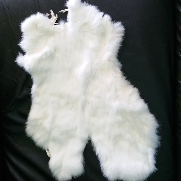 Skin, Fur, Rabbit Pelt, Fluffy, Fuzzy, Soft, Free Shipping