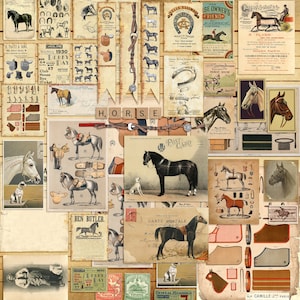 Horse Riding Ephemera Embellishment Pack - 7444