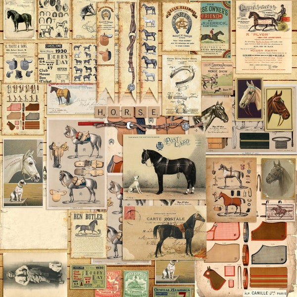 Horse Riding Ephemera Embellishment Pack - 7444