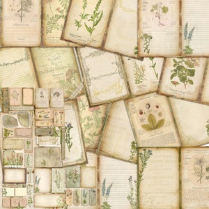Aromatic Herbs Journal Pages - EZ Journal 7455