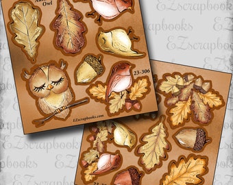 May include: A set of digital scrapbook stickers featuring autumn-themed illustrations. The stickers include a brown owl, a red robin, acorns, and oak leaves in shades of brown, gold, and red. The text "Autumn Owl" and "23-306" are included on the stickers.