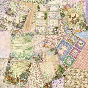 Spring Forest Paper Pack - 7703