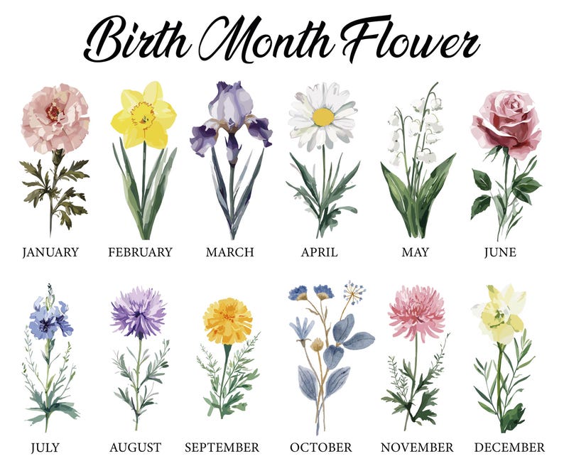 a collection of twelve different flowers, each representing a different month of the year.