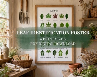 Leaf Poster: Tree Leaves Identification Chart, Nature Study & Environmental Science, Classroom Posters (Digital Download)