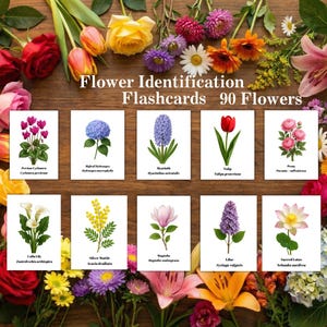 Tarjetas didácticas para identificar flores: 90 tarjetas Montessori de flores, estudio de la naturaleza, ciencias ambientales, imprimibles para la educación en casa