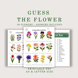 Plant Guessing Game - Etsy UK