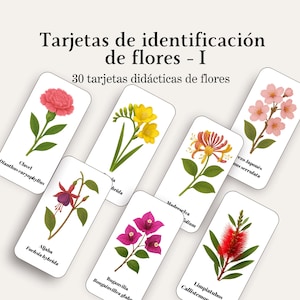 Puede incluir: Un conjunto de tarjetas de identificación de flores. Cada tarjeta presenta una ilustración de una flor diferente con su nombre y nombre científico. Las tarjetas incluyen un clavel rojo, fresias amarillas, flores de cerezo rosas y más. El texto en la parte superior dice "Tarjetas de identificación de flores - I".