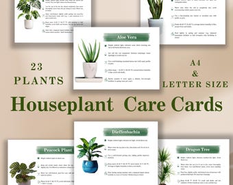 monstera plants for sale Philodendron-Monstera  Jolly Green Nursery