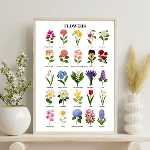 Puede incluir: Una impresión enmarcada titulada "FLOWERS" con ilustraciones coloridas de varias flores, incluyendo buganvillas, claveles y fresias. La impresión se exhibe en una estantería blanca con jarrones y plantas decorativas.