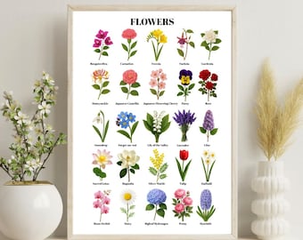 Flower Poster: Flower Identification Chart, Nature Study ...