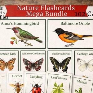 May include: A set of nature flashcards featuring illustrations of birds, insects, and butterflies. The cards include images of an Anna's Hummingbird, Baltimore Oriole, American Lady butterfly, and more. The set includes 102 cards.