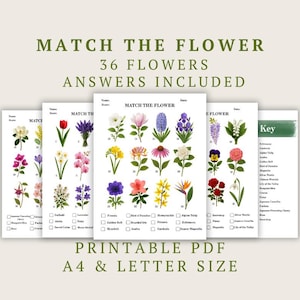 May include: A set of printable PDF flower matching games. The design features the text "Match the Flower" and "36 Flowers Answers Included". The game includes illustrations of various flowers and a key. The text "Printable PDF A4 & Letter Size" is also included.