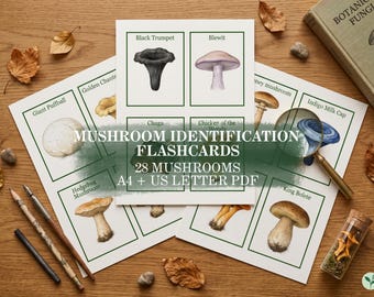 Mushroom Flashcards, Printable Fungi Identification, Montessori Nature Study, Forest School, Homeschool Science