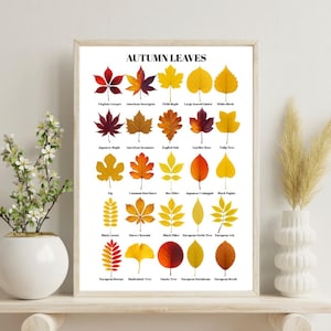 Op de afbeelding: Een ingelijste print getiteld "AUTUMN LEAVES" toont illustraties van verschillende herfstbladeren in tinten rood, geel, oranje en bruin. Elke bladsoort is gelabeld. De print wordt weergegeven op een witte plank.