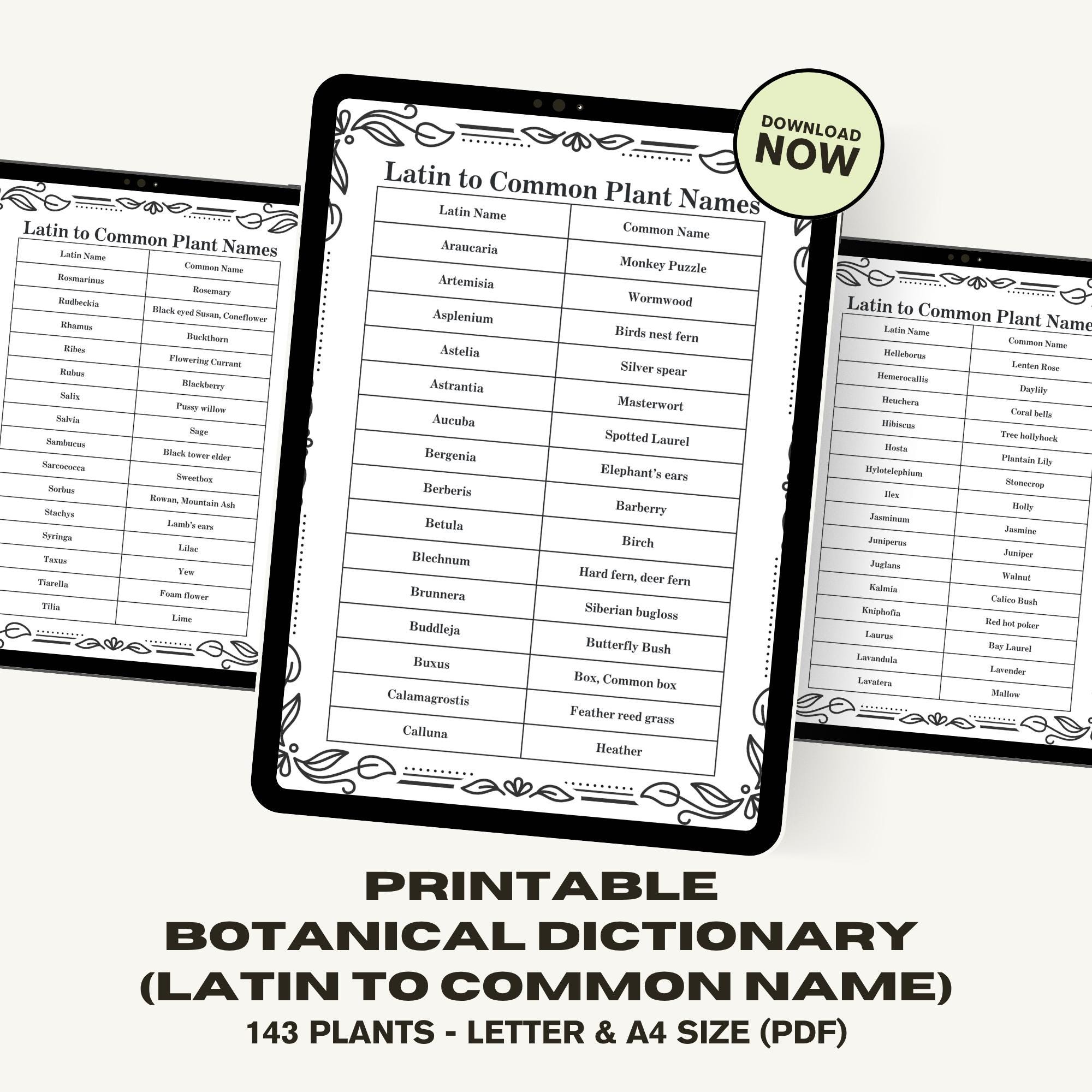 Botanical Dictionary: Latin Plant Names, English Plant Name Index  (printable PDF) - Etsy