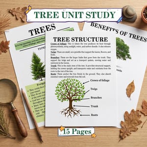 Op de afbeelding: Een 15-pagina tellende educatieve boom-leseenheid op wit papier, met een centraal diagram getiteld Tree Structure met labels voor bladerdak, twijgen, takken, stam en wortels, vergezeld door een vergrootglas en een potlood.