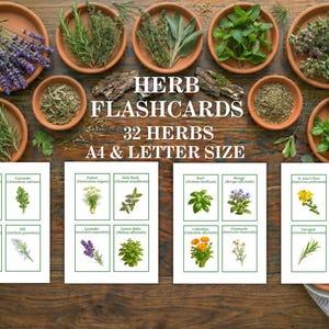 Può includere: Una vista dall'alto di schede didattiche di erbe e varie erbe in ciotole di terracotta. Le schede didattiche mostrano illustrazioni di 32 erbe, con testo in formato A4 e Letter. Le erbe includono lavanda, rosmarino, basilico e timo.