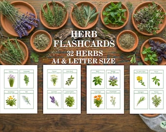 Herb Flashcards, Printable Botanical Identification Cards, Medicinal & Culinary Herbs Study Guide, Homeschool Nature Learning