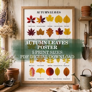 May include: A rectangular framed poster titled AUTUMN LEAVES featuring a grid of various colorful leaf illustrations with their names printed underneath each one, including Virginia Creeper, American Sweetgum, Field Maple, and others in a botanical style.