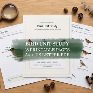 May include: A Bird Unit Study educational bundle featuring 38 printable pages in A4 and US Letter PDF formats. The documents include diagrams of bird anatomy, identification charts with illustrations of various birds, and nature study activities.