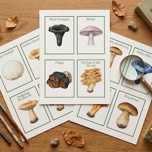 Mushroom Flashcards, Printable Fungi Identification, Montessori Nature Study, Forest School, Homeschool Science