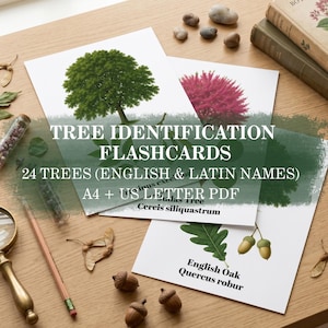 May include: Tree identification flashcards featuring 24 trees with English and Latin names in A4 and US Letter PDF formats. The cards display botanical illustrations of trees, leaves, and acorns, accompanied by a magnifying glass and a pencil.