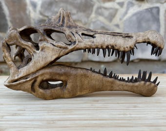 巨大なスピノサウルスの頭蓋骨（レプリカ） - Etsy 日本