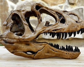 Allosaurus Dinosaur Skull Bone Fossil Replica