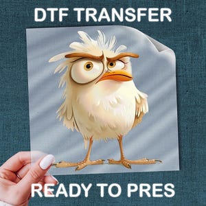 May include: DTF transfer featuring an illustrated white bird with an angry expression, orange beak, and brown accents. The text "DTF TRANSFER" and "READY TO PRESS" are displayed in white. The image is held against a blue textured background.