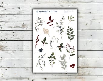 Könnte beinhalten: Ein Aufkleberbogen mit dem Titel Atlas Design Studio Winter Botanicals I D-X-012, der verschiedene Aquarellillustrationen von Winterlaub zeigt, darunter Stechpalmenblätter, rote Beeren, Kiefernzweige, Eukalyptus und blaue Beeren auf weißem Hintergrund.