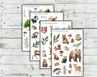 Könnte beinhalten: Vier rechteckige Aufkleberbögen von Atlas Design Studio mit Aquarellillustrationen von Waldtieren, darunter ein Bär, Waschbär, Igel, Eichhörnchen, Reh, Dachs, eine Kröte sowie verschiedene Kiefernzweige, Pilze und Tannenzapfen.