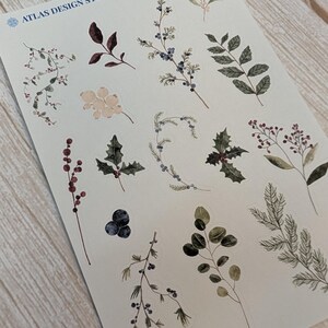 Klistermärkesark med vinterväxter, akvarellgrönt, blomdekor, tallbärsgrenar för dagböcker och planerare bild 3
