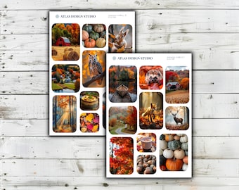 Könnte beinhalten: Zwei rechteckige Blätter mit der Aufschrift ATLAS DESIGN STUDIO, die eine Collage aus herbstlichen Fotografien zeigen. Die Bilder zeigen orangefarbenes und rotes Laub, Kürbisse, eine rote Scheune, ein Eichhörnchen, eine Eule, einen Igel, einen Fuchs, einen Hirsch und Eicheln.