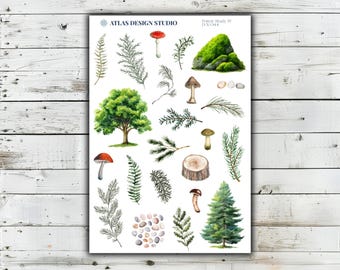 May include: A sticker sheet titled Atlas Design Studio Forest Study IV D-X-044 featuring watercolor illustrations of forest elements including a large green tree, a pine tree, various ferns, pine branches, mushrooms, a mossy rock, and pebbles.